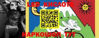 PSILOCYBIN Новокубанск