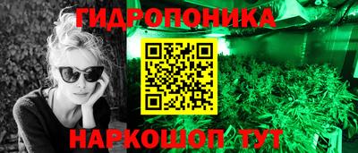 PSILOCYBIN Новокубанск