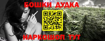 винт Новозыбков