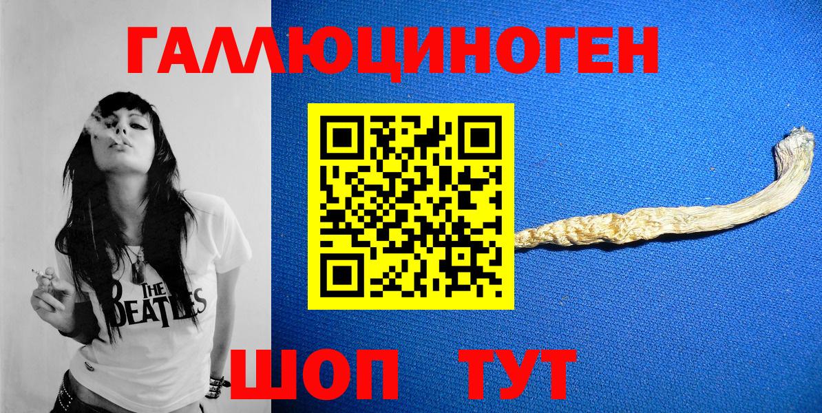 Псилоцибиновые грибы Psilocybe  Вход с VPN  Муравленко 